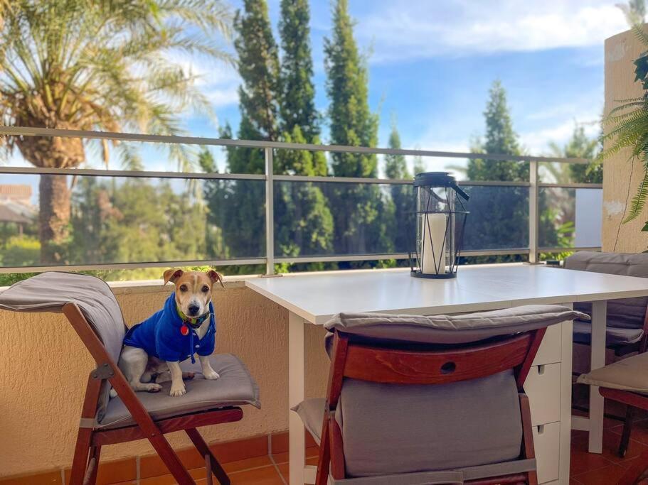 Klimatyczny Loft I Egzotyczny Basen Apartment Benalmádena Exterior foto