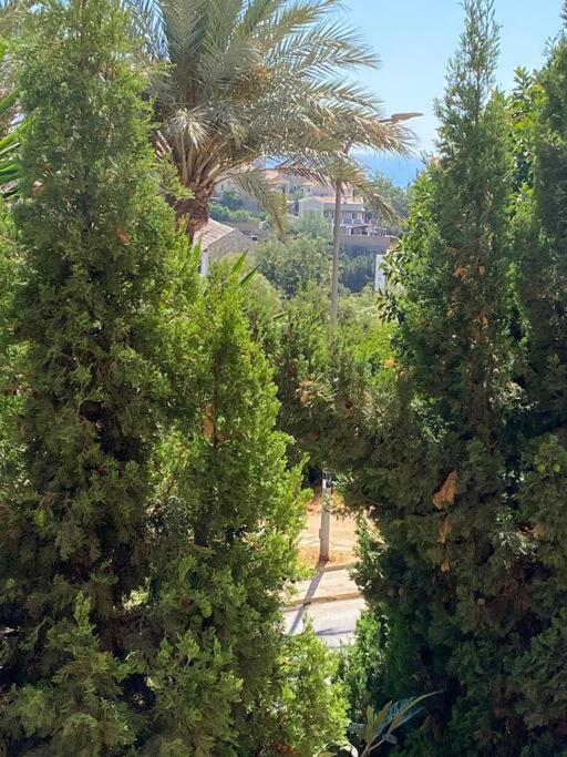 Klimatyczny Loft I Egzotyczny Basen Apartment Benalmádena Exterior foto